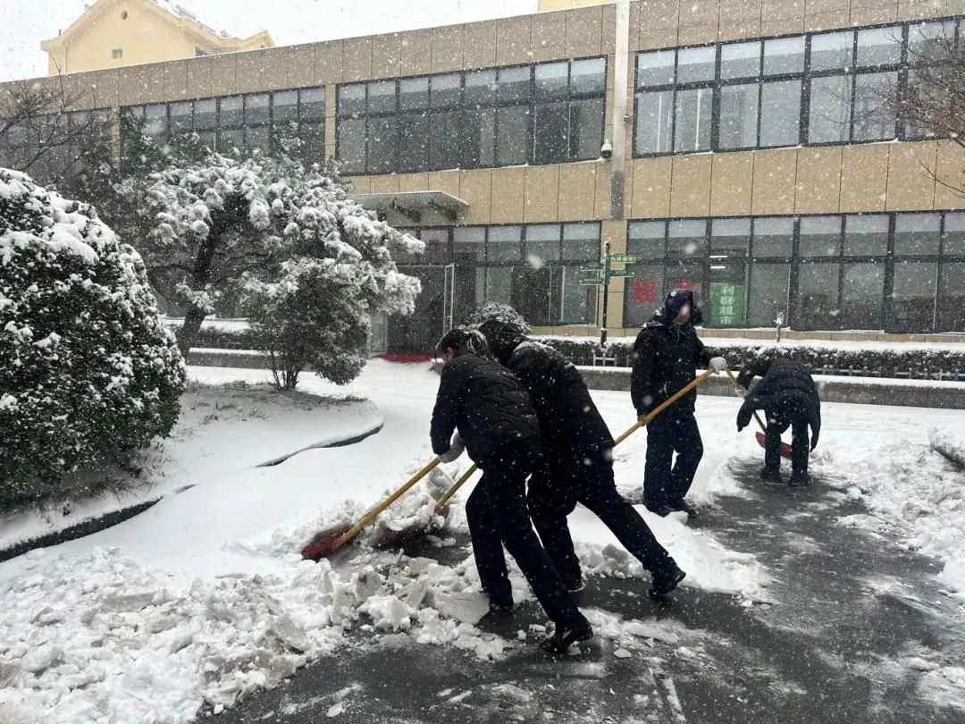 Тепла течія в холодній хвилі